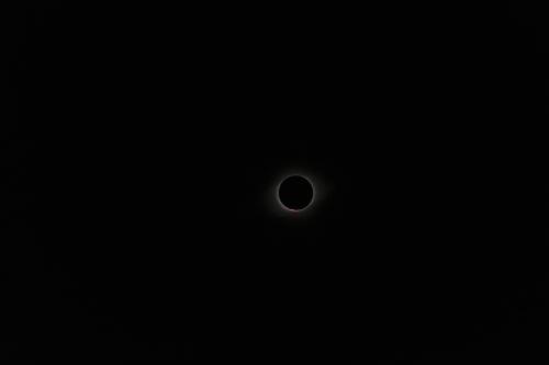 DSC09450